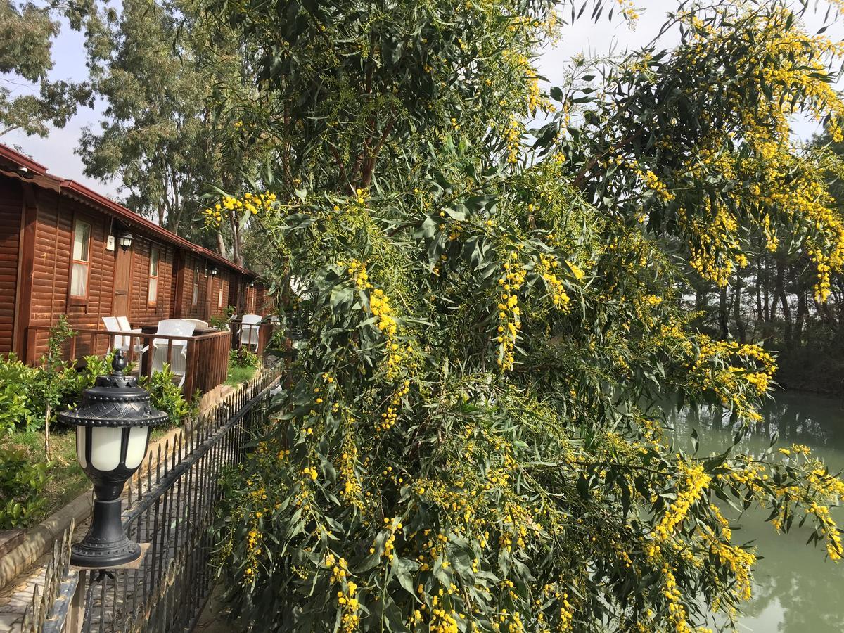 ホテルLemonpark House アンタルヤ エクステリア 写真